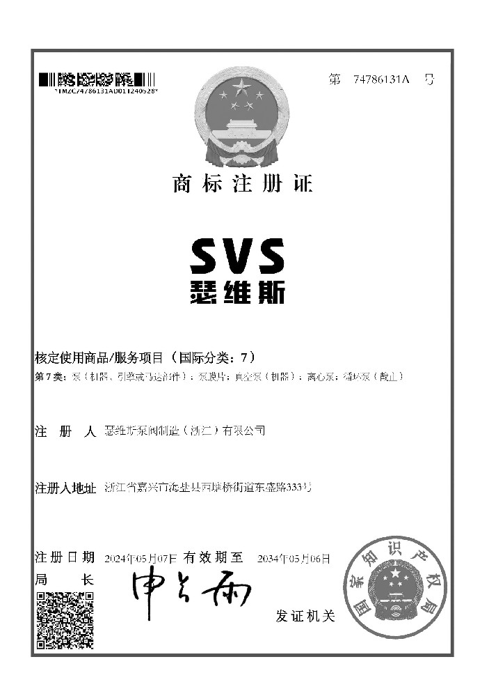 SVS俄罗斯专享会294品牌知识产权